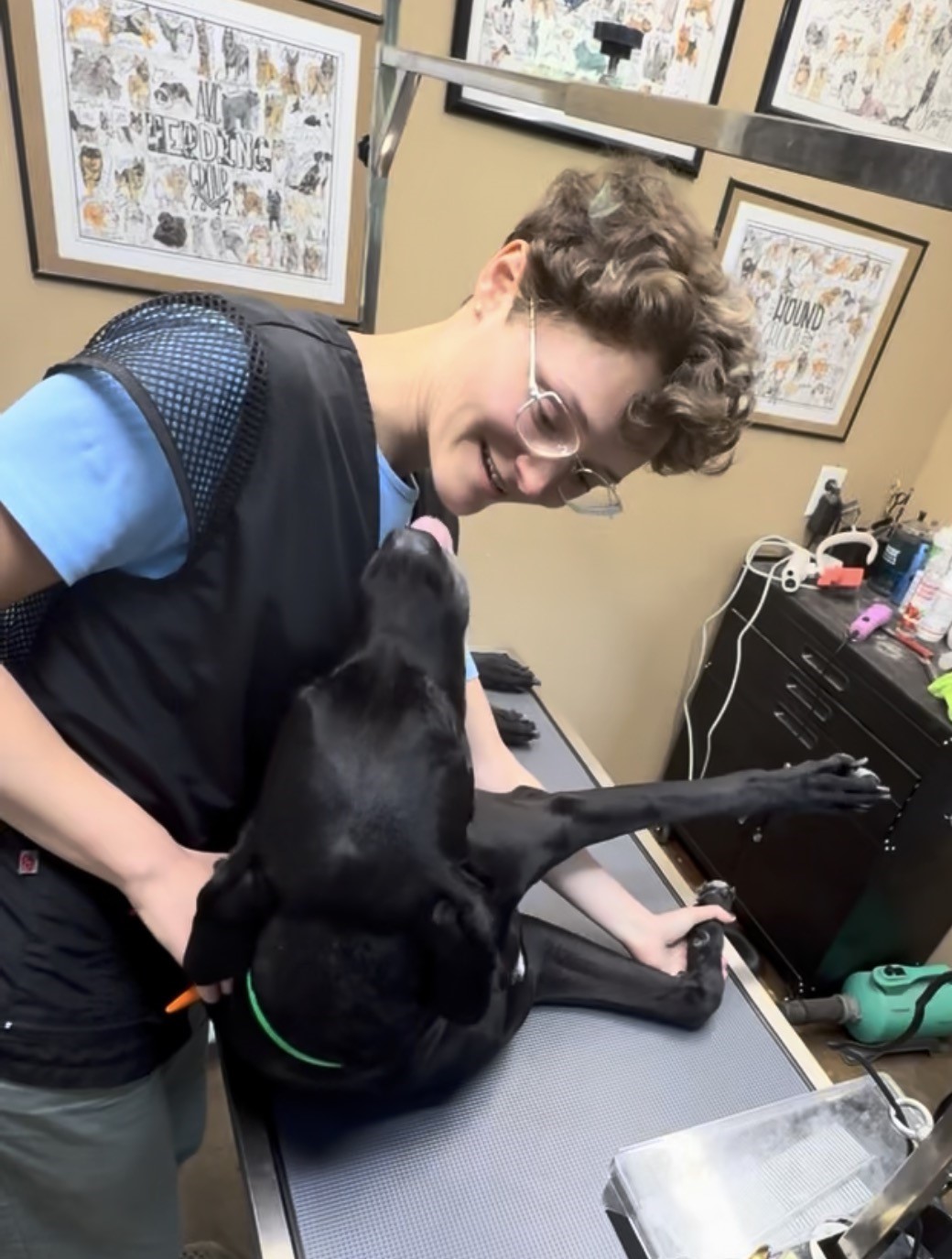 A dog during a bath and blow-dry grooming service